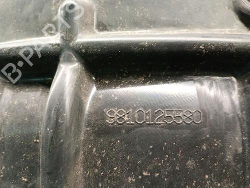 Wheel arch PEUGEOT 3008 II SUV (MC_, MR_, MJ_, M4_) 1.2 THP/ PureTech 130 (MRHNSM, MRHNSU, MRHNSJ, MRHNYW,... | BP24052419C56 