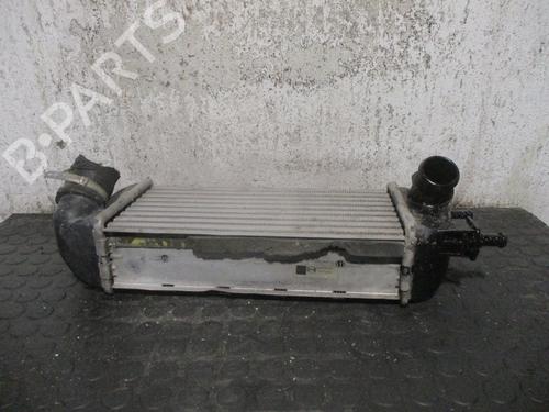 Intercooler FIAT 500 (312_)  | BP8623725M30 