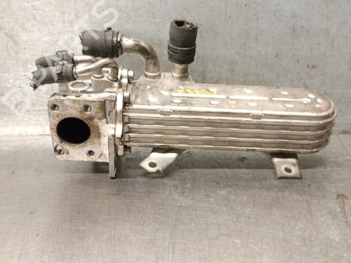 Egr SKODA OCTAVIA II (1Z3) 1.9 TDI | BP29498712M69 