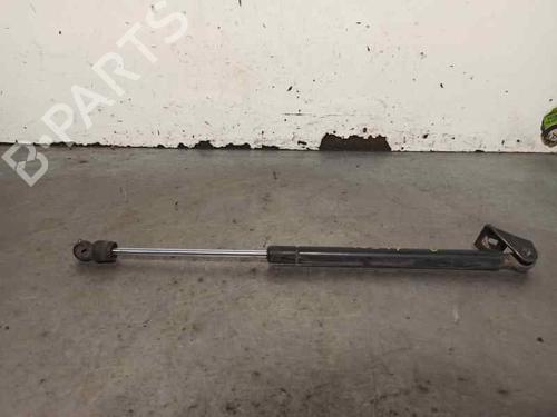 Tailgate lift support JEEP GRAND CHEROKEE II (WJ, WG) 3.1 TD 4x4 | BP20254618C138 