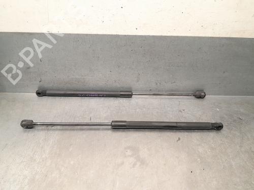 tailgate-lift-support-fiat-panda-169_-2003-37464997 main image