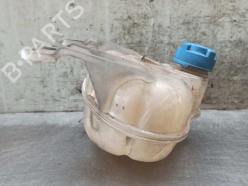 Expansion tank FIAT GRANDE PUNTO (199_) 1.2 | BP8059833C120
