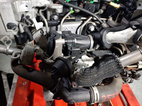 Engine FORD C-MAX II (DXA/CB7, DXA/CEU) 1.6 TDCi | BP36238995M1  - Image 10