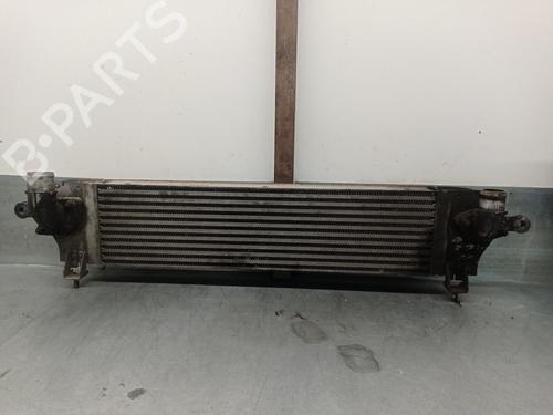 Used Intercooler NISSAN QASHQAI I (J10, NJ10) 2.0 dCi (150 hp) 30755137