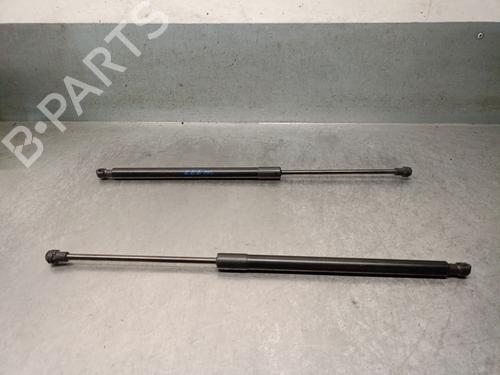 tailgate-lift-support-chevrolet-captiva-c100-c140-2006-32529970 main image