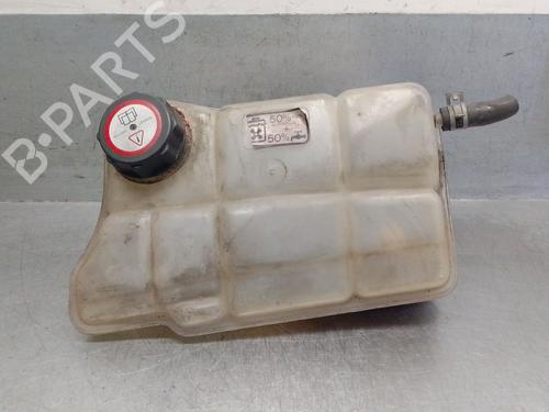 Expansion tank FORD MONDEO II (BAP) 2.0 i 97BB8K218AB | 1078157
