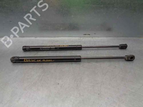 Used Tailgate lift support CHEVROLET AVEO / KALOS Hatchback (T250, T255) 1.4 (101 hp) 20259318