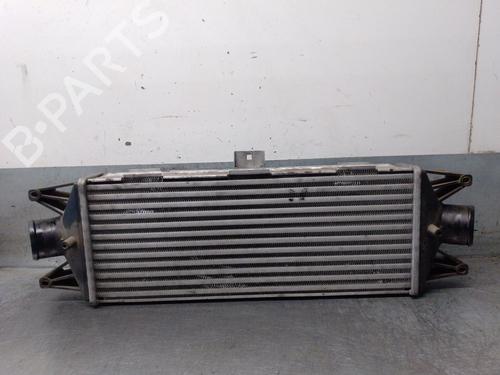 Intercooler IVECO DAILY IV Van 35C13 V, 35C13 V/P, 35S13 V, 35S13 V/P (126 hp) 31171717