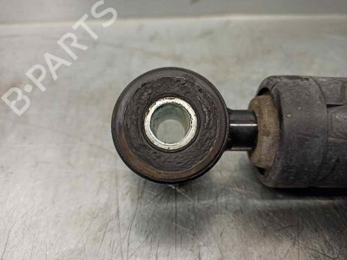 Right rear shock absorber MERCEDES-BENZ VITO / MIXTO Van (W639) 111 CDI (639.601, 639.603, 639.605) | BP13010218M19 