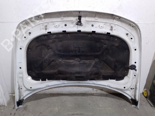 Hood LAND ROVER RANGE ROVER SPORT I (L320) 3.0 D 4x4 | BP25242036C1
