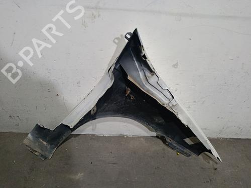Left front fenders FIAT PUNTO (188_) 1.3 JTD 16V | BP29305720C41 