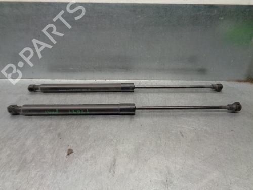 Tailgate lift support DACIA SANDERO II 1.0 TCe 100 (B8ML) 904529943R
