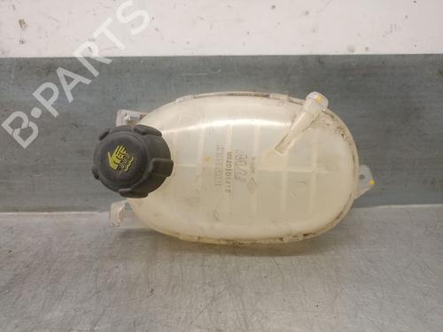 Expansion tank RENAULT EXPRESS Box Body/MPV 1.5 Blue dCi 75 (F6AA) | BP29480023C120