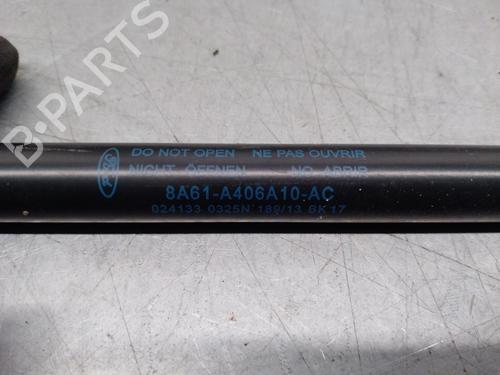 Tailgate lift support FORD FIESTA VI (CB1, CCN)  | BP17053315C138 