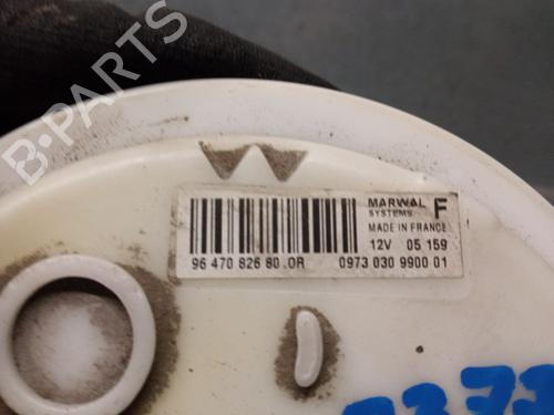 Fuel pump PEUGEOT 407 (6D_) 2.2 16V (6D3FYH, 6D3FYE) | BP29605384M76