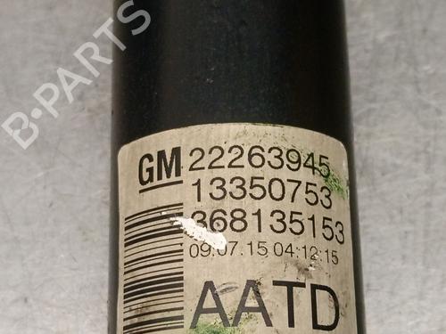 Right rear shock absorber OPEL MERIVA B MPV (S10) 1.4 (75) | BP24155114M19 