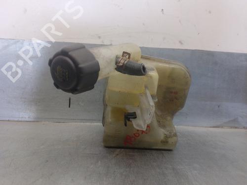 Used Expansion tank RENAULT LAGUNA II (BG0/1_) 1.9 dCi (BG1A, BG1W, BG0G) (110 hp) 13535927
