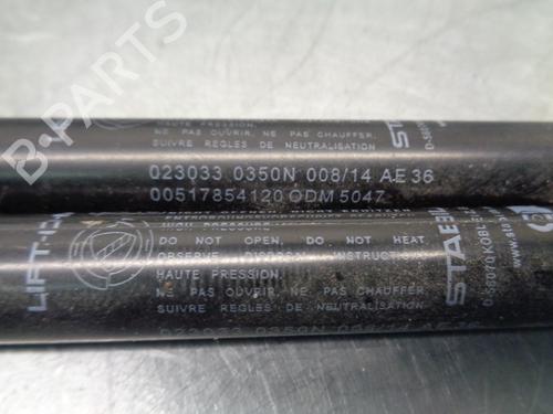 Tailgate lift support FIAT 500 (312_) 1.2 (312AXA1A) | BP21020721C138