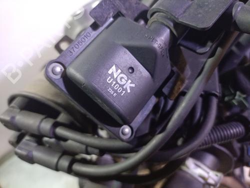  - Image 7