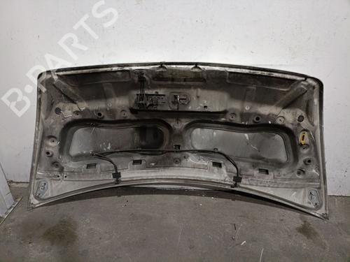 Hood RENAULT MASTER III Van (FV)  | BP30044651C1 