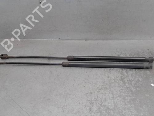 Tailgate lift support SKODA OCTAVIA II (1Z3) 1.9 TDI | BP17335716C138 
