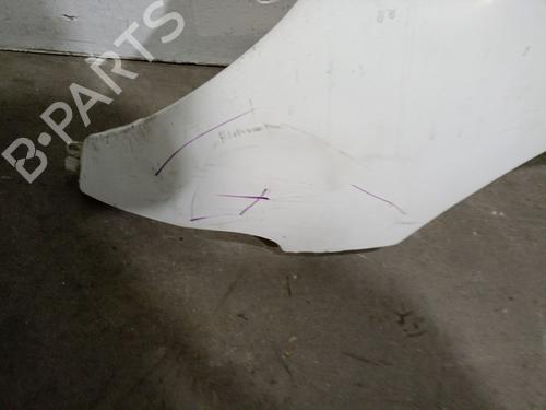 Left front fenders PEUGEOT 206 Hatchback (2A/C) 1.9 D | BP27995530C41 