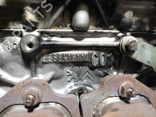 Engine FORD S-MAX (WA6) 2.0 TDCi | BP31757021M1