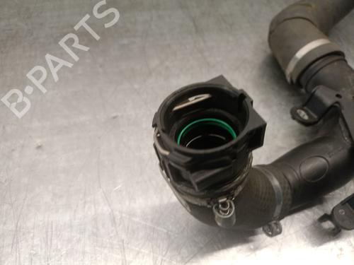 Rør RENAULT MEGANE IV Hatchback (B9A/M/N_) 1.5 dCi 110 (B9A3) | BP29500722M125 