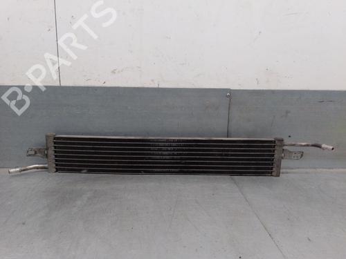 Used Water radiator LAND ROVER RANGE ROVER SPORT I (L320) 3.6 D 4x4 (272 hp) 29595385