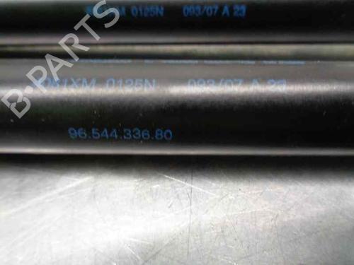 Tailgate lift support CITROËN C4 Picasso I MPV (UD_) 1.6 HDi | BP20259530C138 