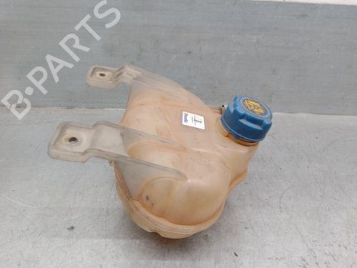 Used Expansion tank FIAT DOBLO Cargo (263_) 1.6 D Multijet (263WXD1B, 263WXR1B, 263WXX1B, 263ZXD1B,... (105 hp) 31924699