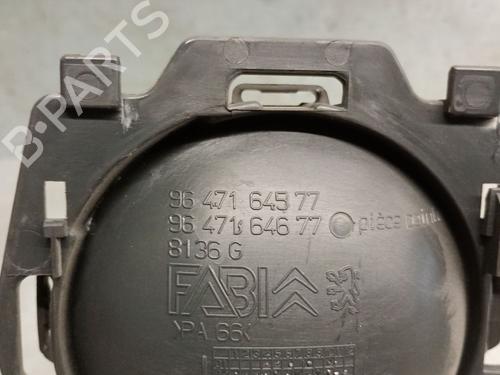 Front left interior door handle CITROËN C3 I (FC_, FN_) 1.4 HDi | BP24916949I13 