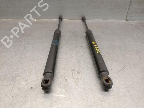 Tailgate lift support VW GOLF V (1K1) 1.9 TDI 4motion | BP29520668C138 