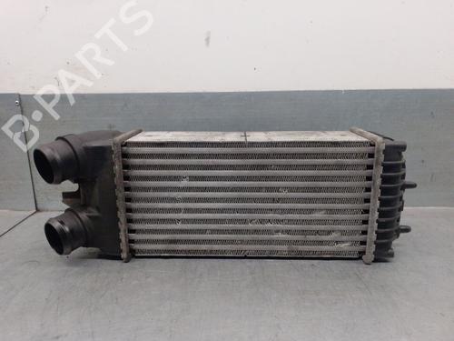 Used Intercooler CITROËN XSARA PICASSO (N68) 1.6 HDi (109 hp) 29325746