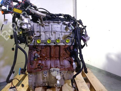 Motor RENAULT EXPRESS Box Body/MPV 1.5 Blue dCi 75 (F6AA) | BP29460621M1 