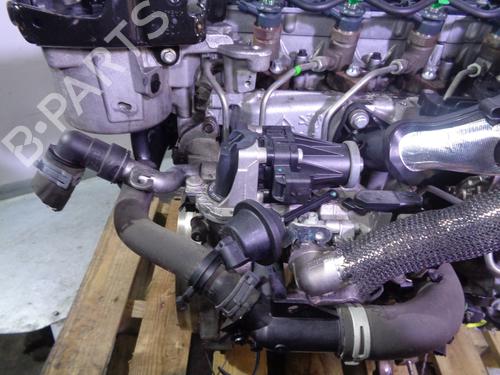 Engine FORD FIESTA VI (CB1, CCN)  | BP15801683M1 