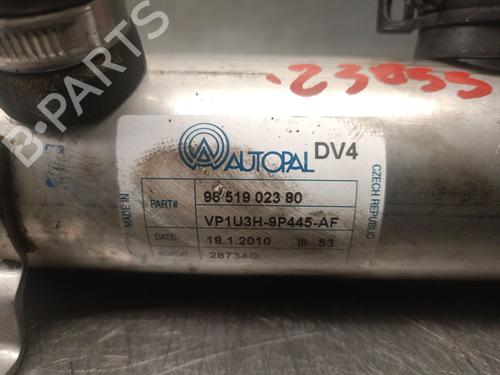 EGR-Ventil PEUGEOT BIPPER (AA_)  | BP30002153M69 