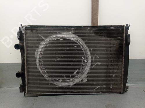 Used Water radiator NISSAN QASHQAI I (J10, NJ10) 2.0 dCi (150 hp) 30760278