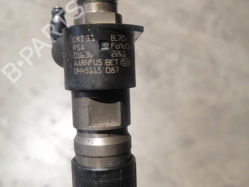 Injector PEUGEOT 508 I (8D_) 2.2 HDi | BP11541238M100 