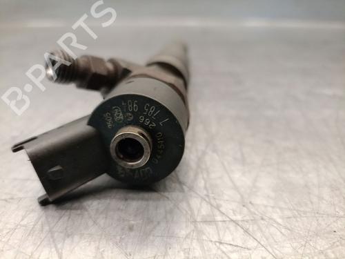 Injector BMW X5 (E53) 3.0 d | BP28480978M100