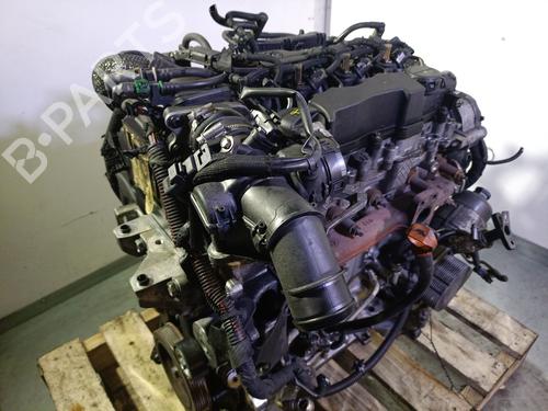Engine PEUGEOT PARTNER Tepee 1.6 HDi 75 (16V) | BP29734975M1 