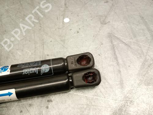 Tailgate lift support CITROËN XSARA PICASSO (N68) 1.6 HDi | BP29387534C138 