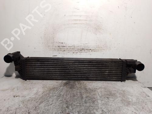Used Intercooler RENAULT LAGUNA II (BG0/1_) 1.9 dCi (BG1A, BG1W, BG0G) (110 hp) 21839290