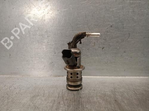 Used Injector PEUGEOT 2008 I (CU_) 1.6 BlueHDi 100 (100 hp) 29748379