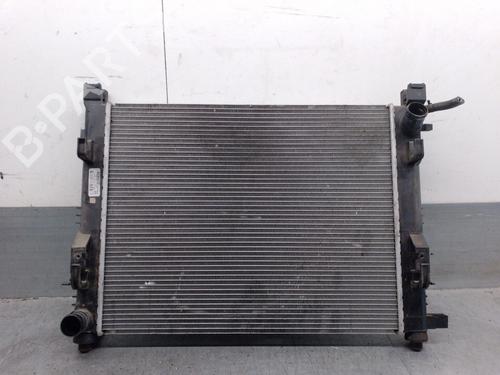 Water radiator RENAULT CLIO IV (BH_) 1.5 dCi 90 | BP30078656M31 