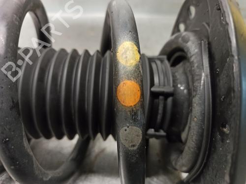 Left front shock absorber FORD S-MAX (WA6) 2.0 TDCi | BP16953253M16