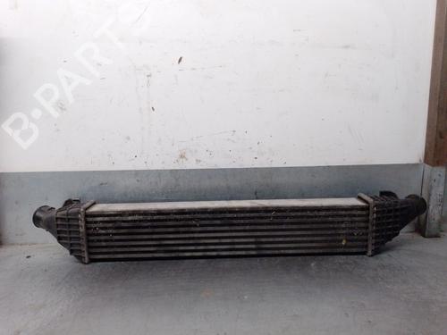Intercooler FIAT FREEMONT (345_) 2.0 JTD | BP38076031M30 - Image 3