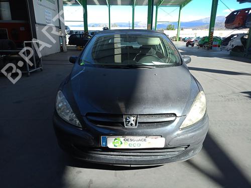 Display PEUGEOT 307 (3A/C) 2.0 HDi 90 | BP29184300C48 