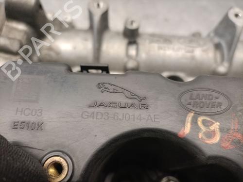 Cylinder head LAND ROVER DISCOVERY V (L462) 2.0 Sd4 4x4 | BP37702188M5  - Image 5