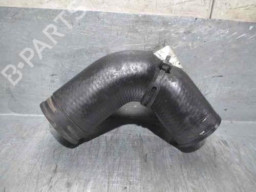 Rohr SKODA FABIA I (6Y2) 1.4 TDI | BP20253794M125 